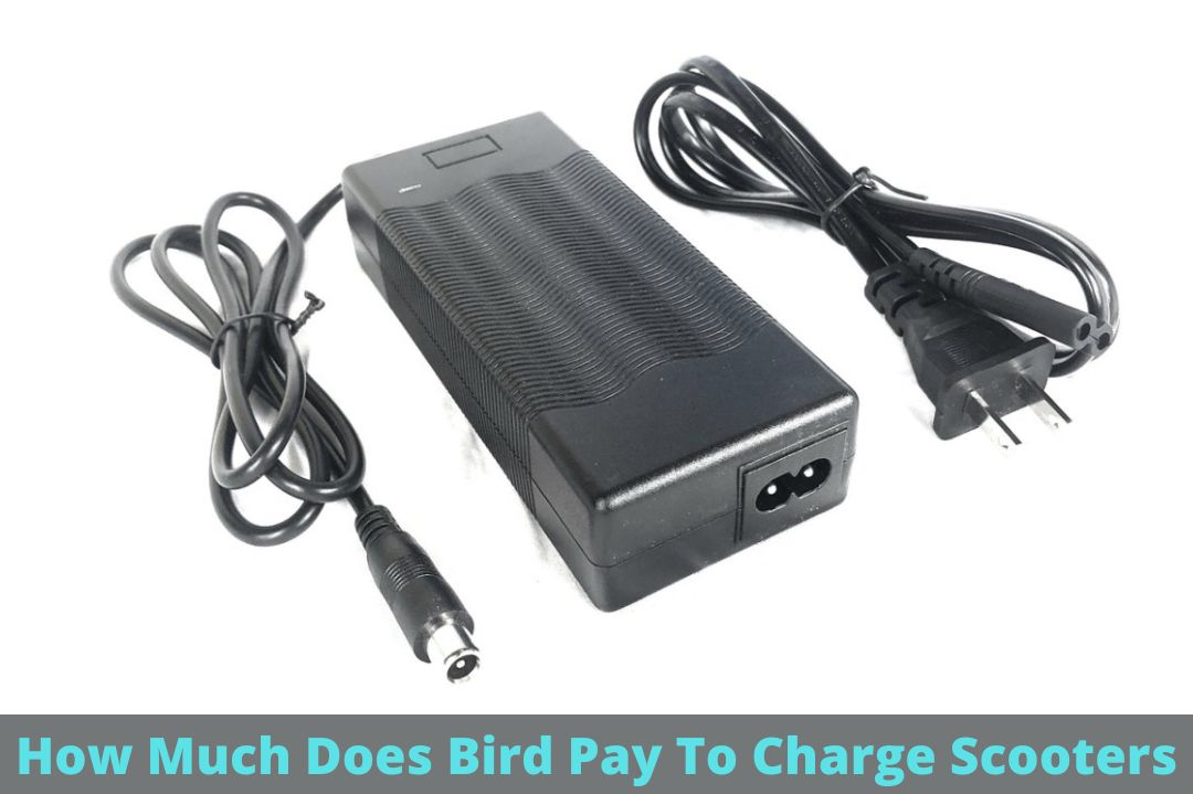 How Much Does Bird Pay To Charge Scooters? Know The Price!