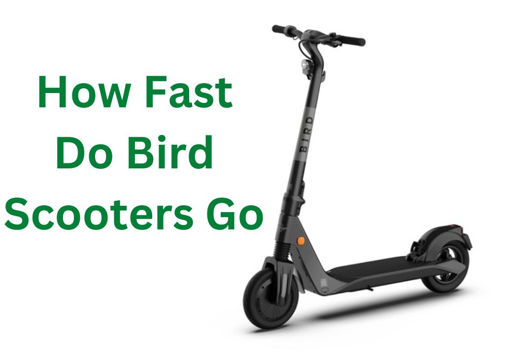 How Fast Do Bird Scooters Go? (The Truth Revealed!)