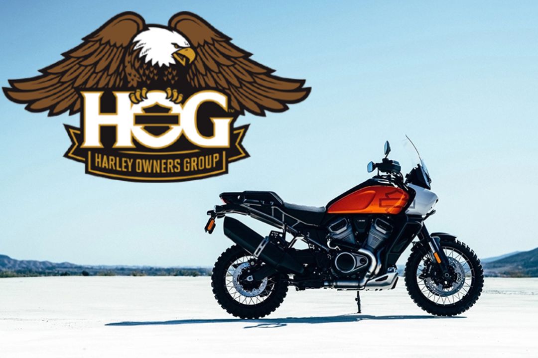 Why Are Harleys Called Hogs