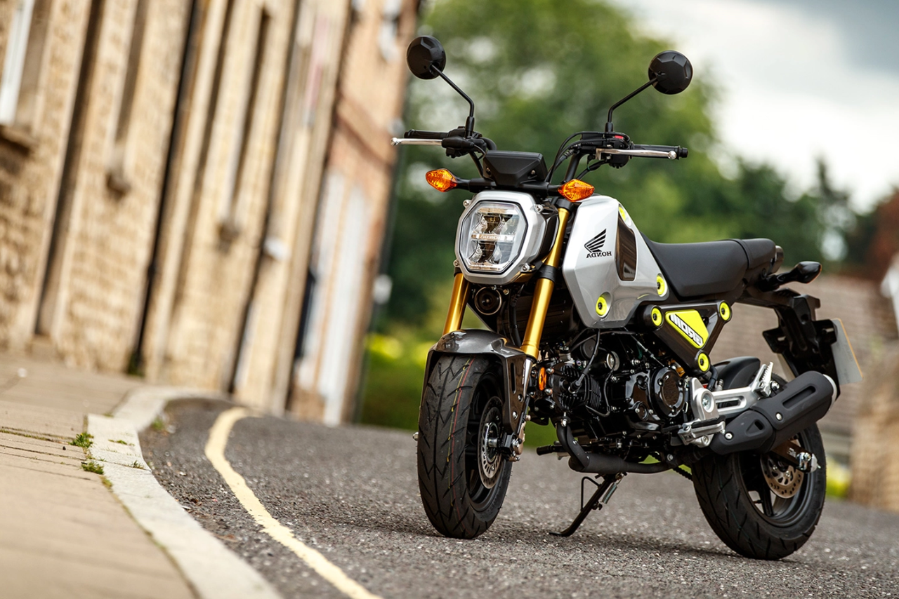What Is Honda Grom Weight Limit? (Answer Might Surprise You!)